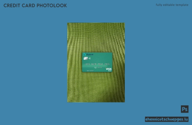 Estland Bigbank Visa Debitkarte Fotoansicht Beispielvorschau